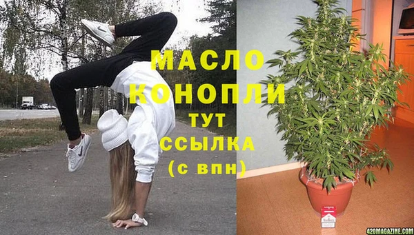 гидра Тында