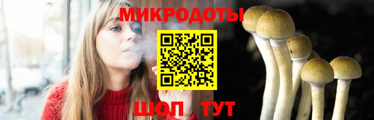 Челябинск  Псилоцибиновые грибы GOLDEN TEACHER  Галлюциногенные грибы ЛСД  Вход с VPN 